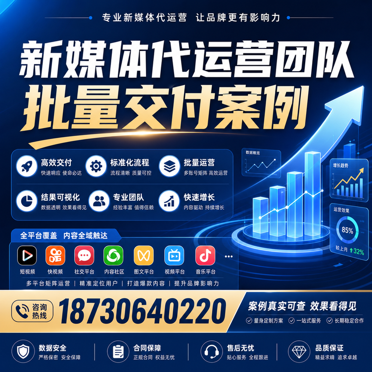 阜阳代运营公司多客户账号批量高效交付案例