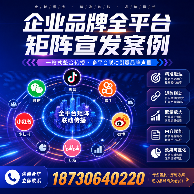 阜阳企业全平台自媒体品牌统一宣发落地案例